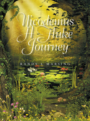 cover image of Nicodemus a Fluke Journey
